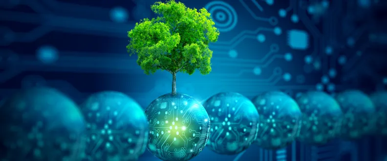 Sustainable Software: Trends and Innovations